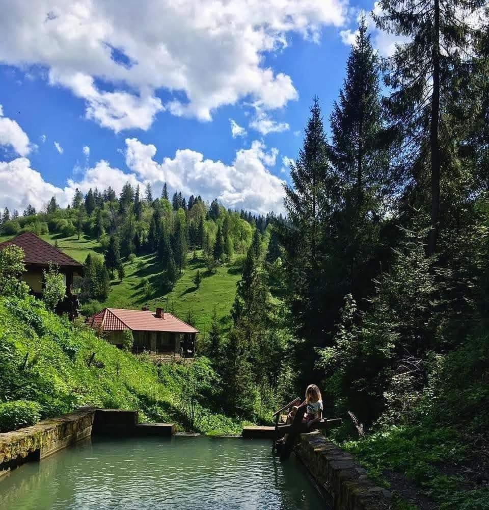 ホテル Лісова Казка スラブスク エクステリア 写真